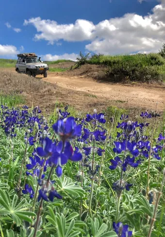 israel off road tour