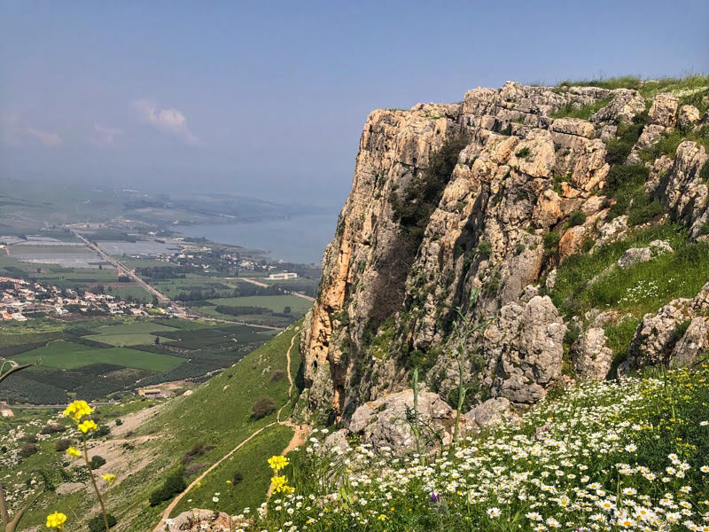 arbel
