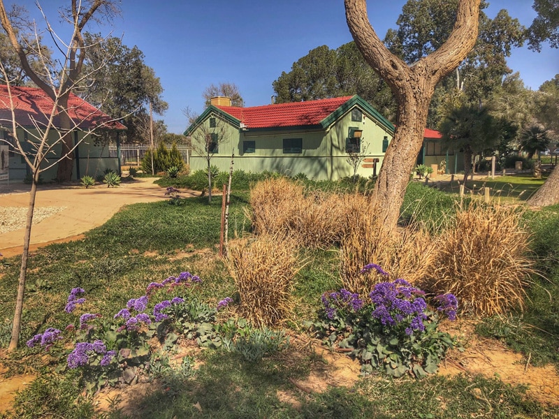 ben-gurion-hut