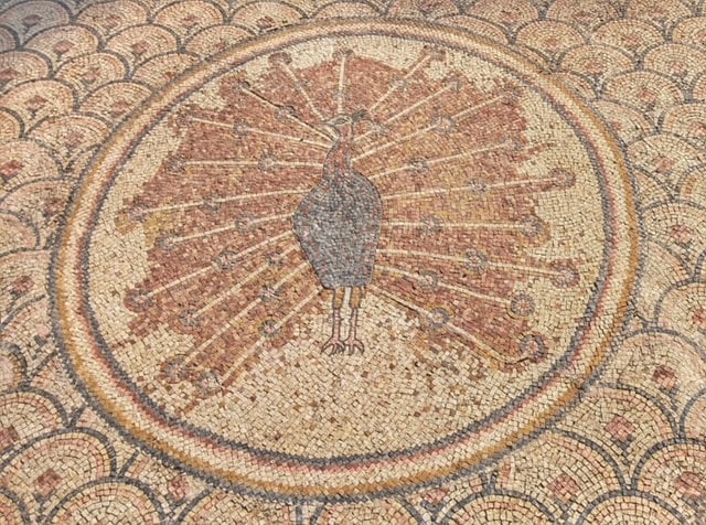 capernaum-peacock-mosaic
