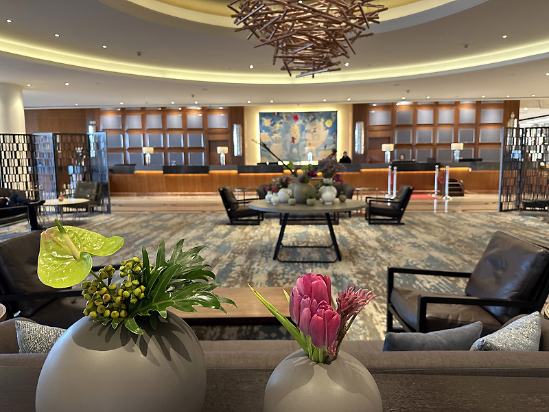 David Inter interior