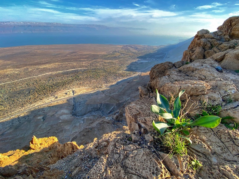 Ein Feshkha general view