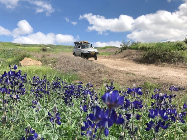 jeep-tour-shephela-lehi