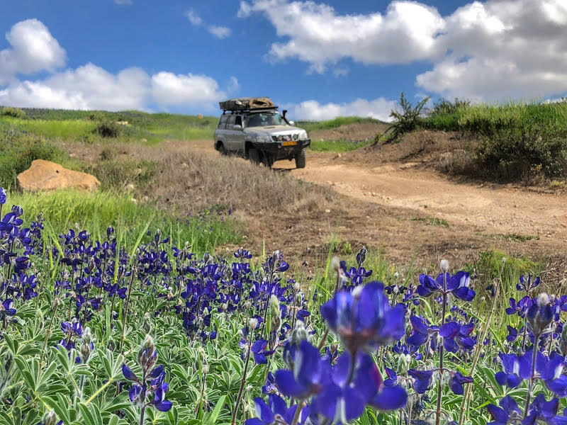 off road shephelah tour