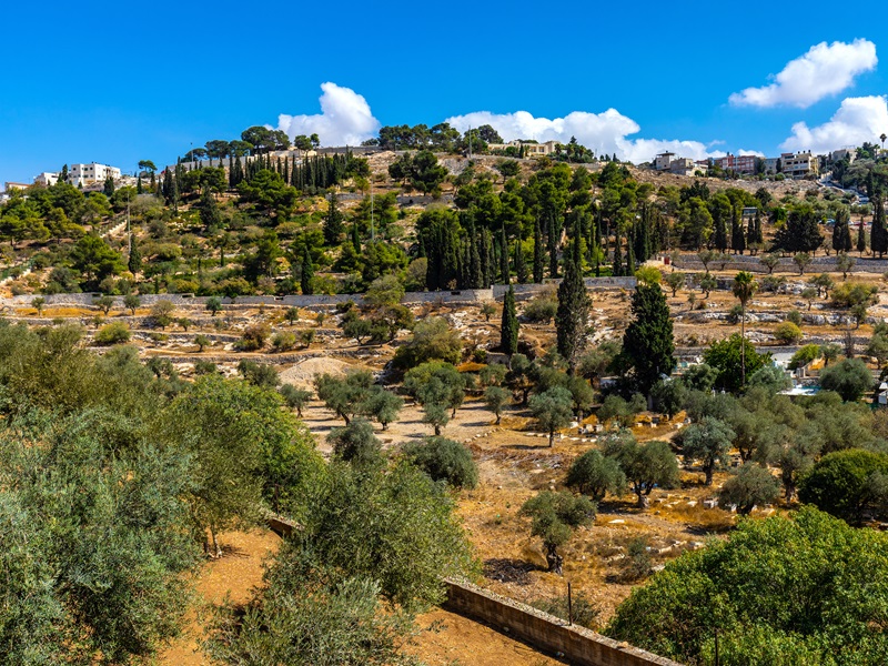 orson hyde park shutterstock 800 600