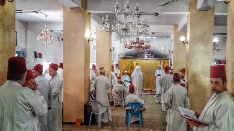 Samaritan Community holon