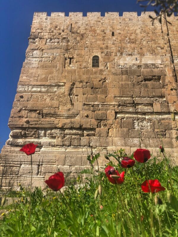 southern-wall-corner-second-temptation-of-jesus