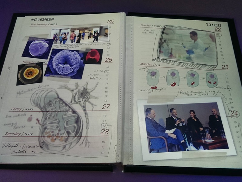 weizman-institute 800 600